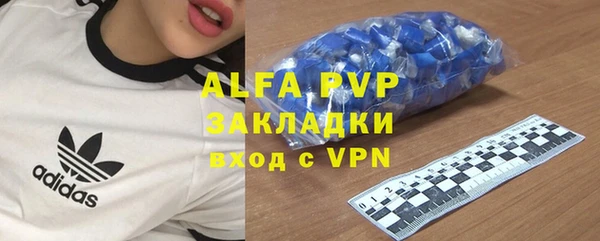 индика Зеленокумск