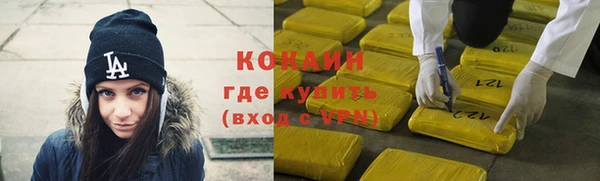 индика Зеленокумск