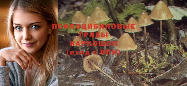 герыч Зеленодольск
