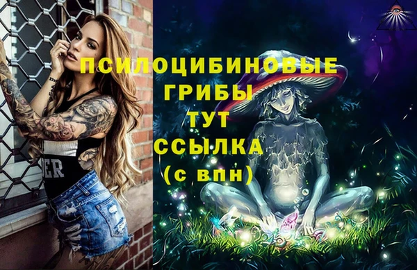 герыч Зерноград