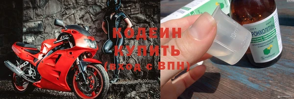 индика Зеленокумск
