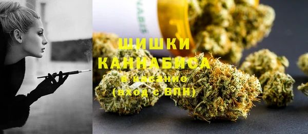 индика Зеленокумск