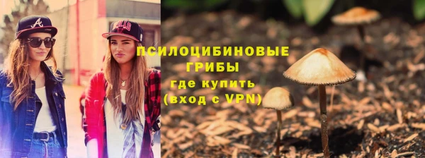 индика Зеленокумск