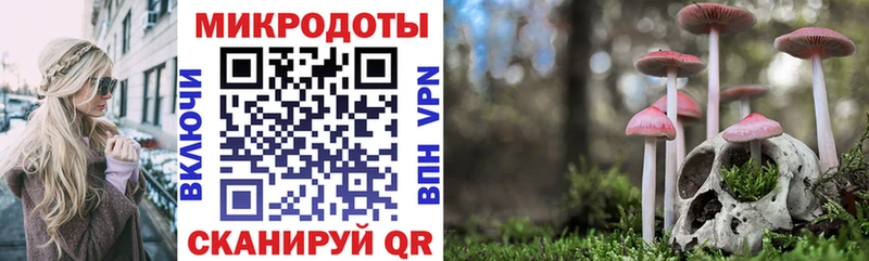Псилоцибиновые грибы GOLDEN TEACHER Карабаново